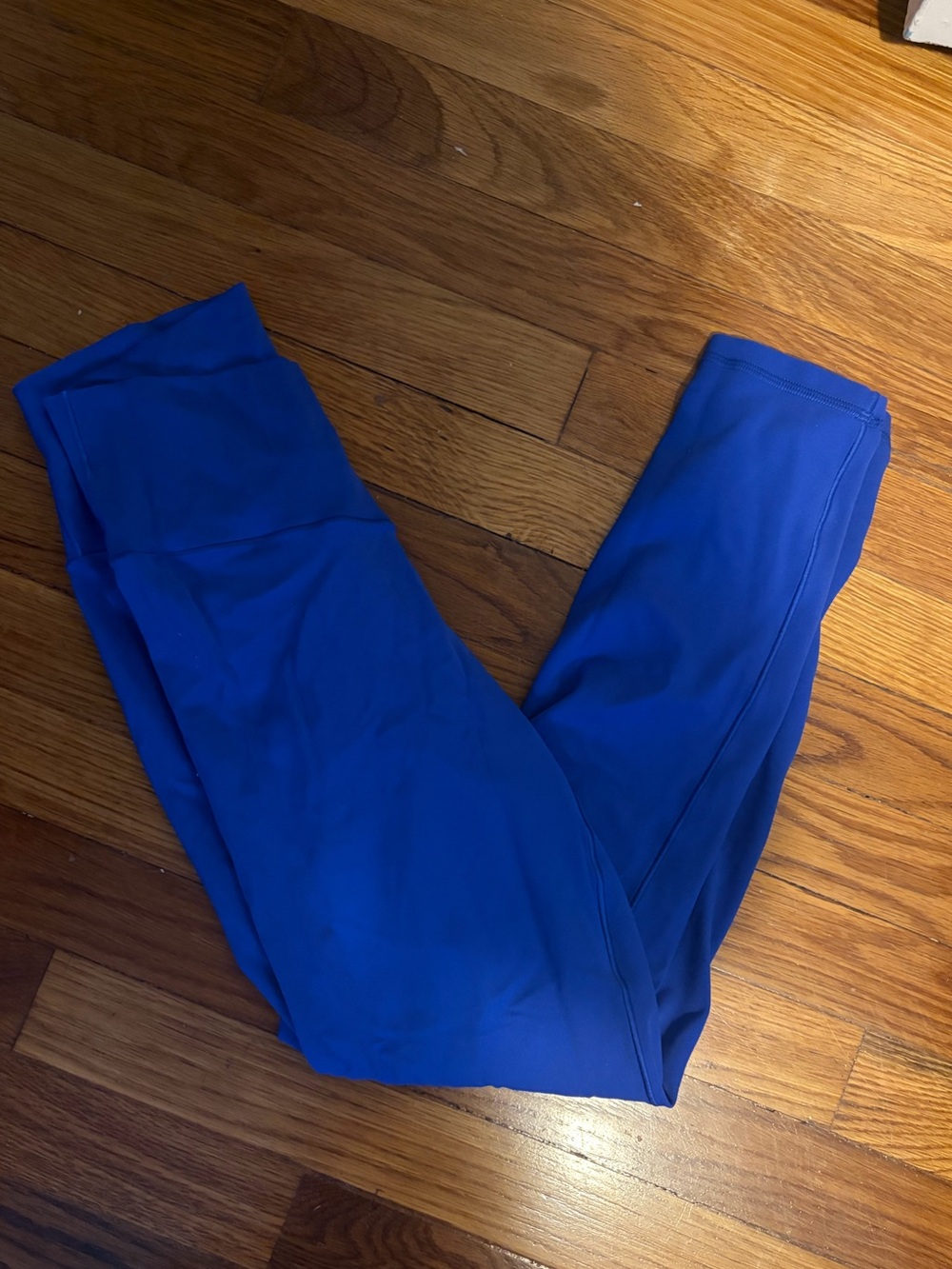Aerie Royal Blue Active Leggings Womens Medium